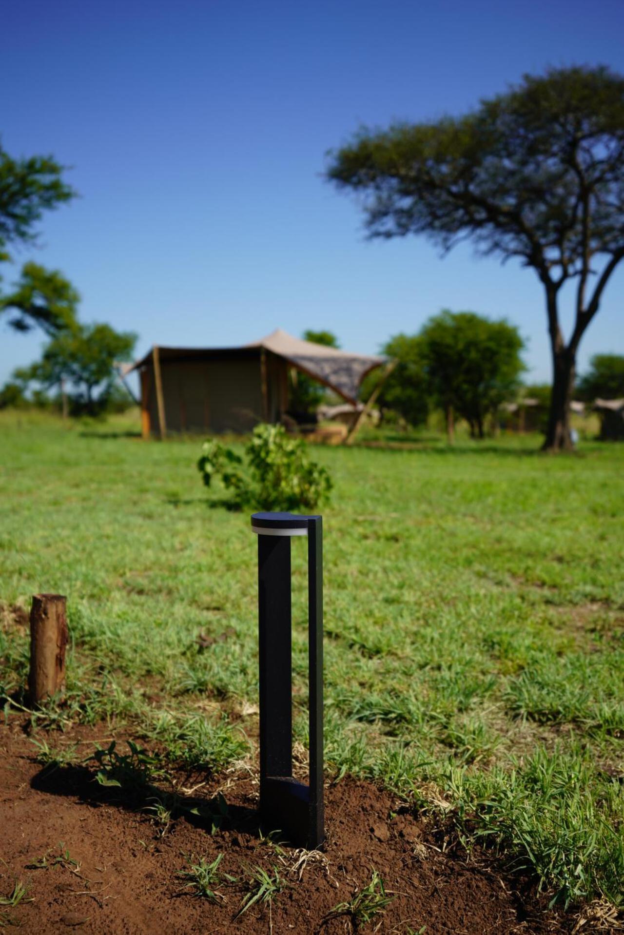 Anantya Serengeti Exteriér fotografie