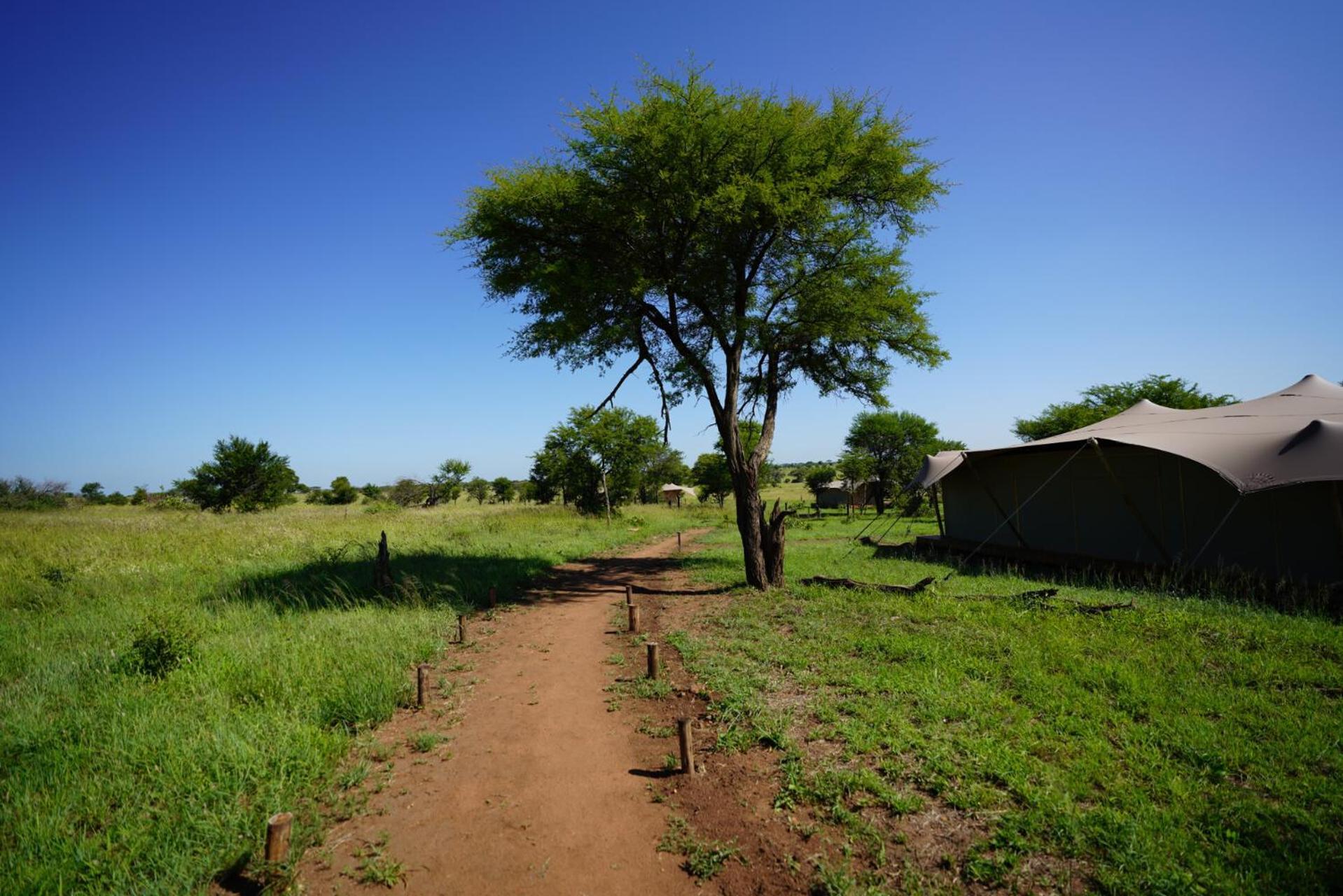 Anantya Serengeti Exteriér fotografie