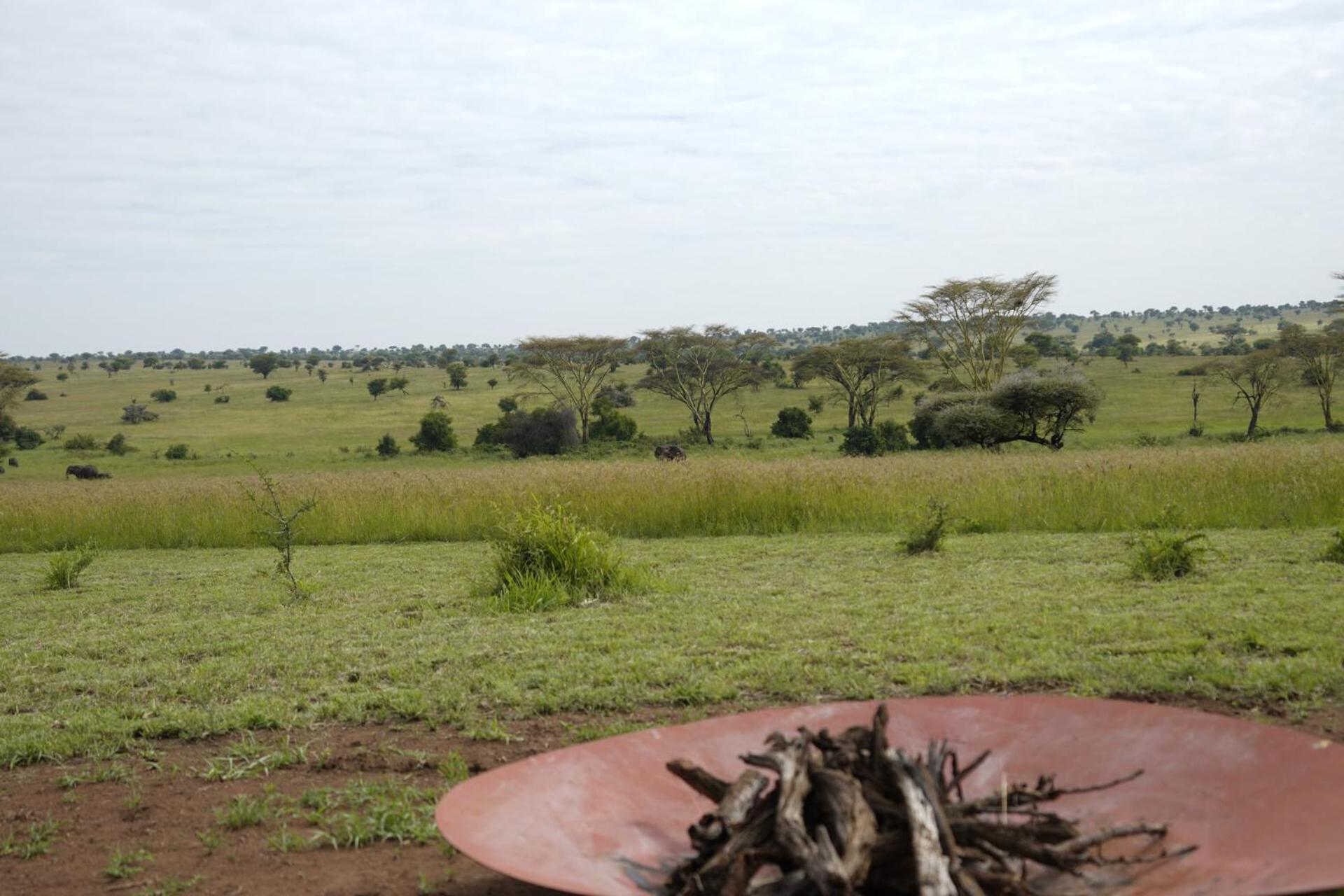 Anantya Serengeti Exteriér fotografie