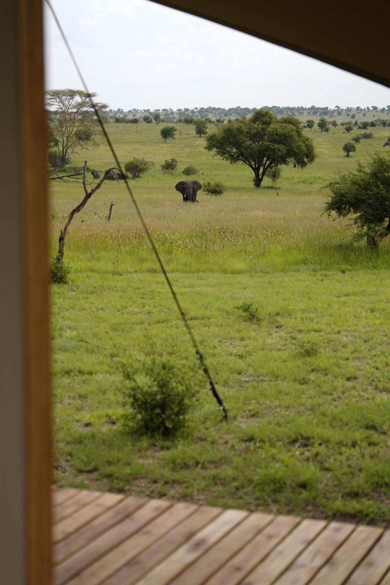 Anantya Serengeti Exteriér fotografie