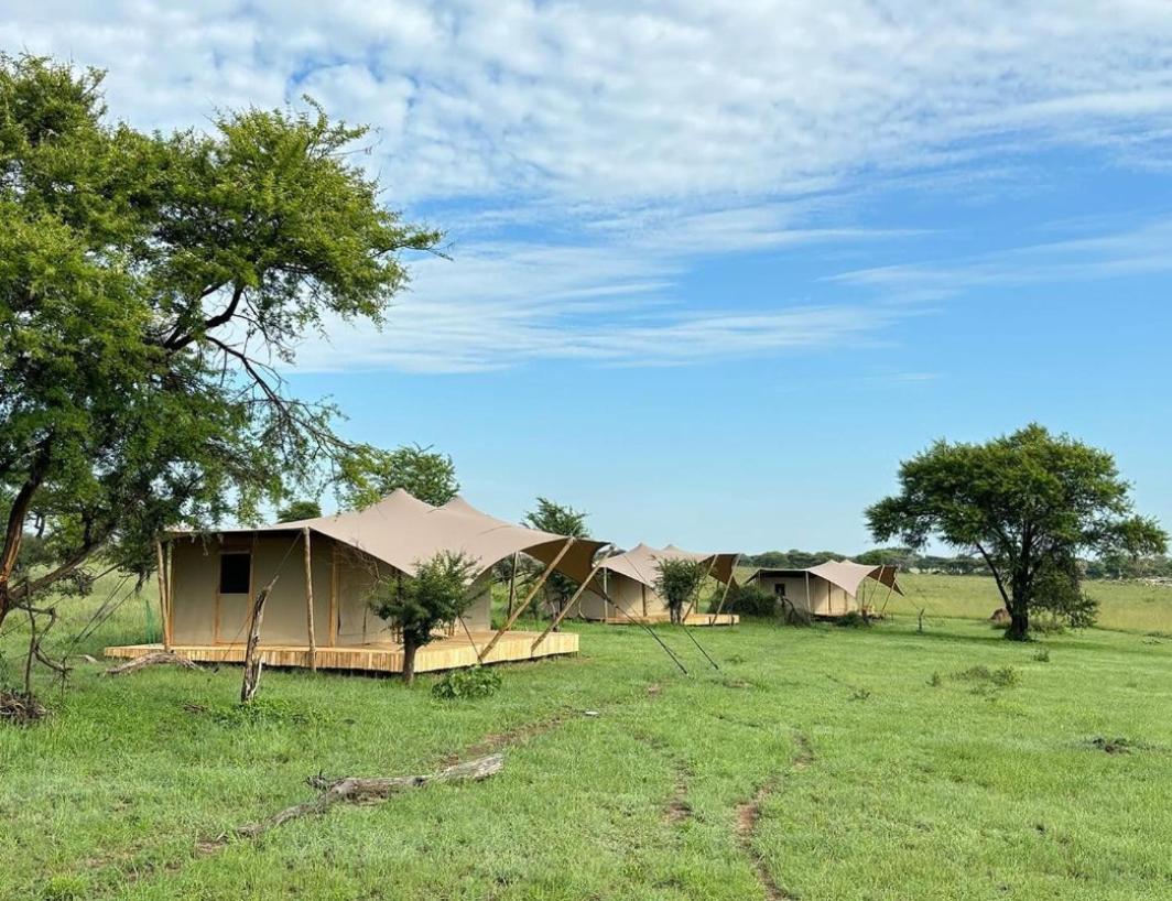 Anantya Serengeti Exteriér fotografie